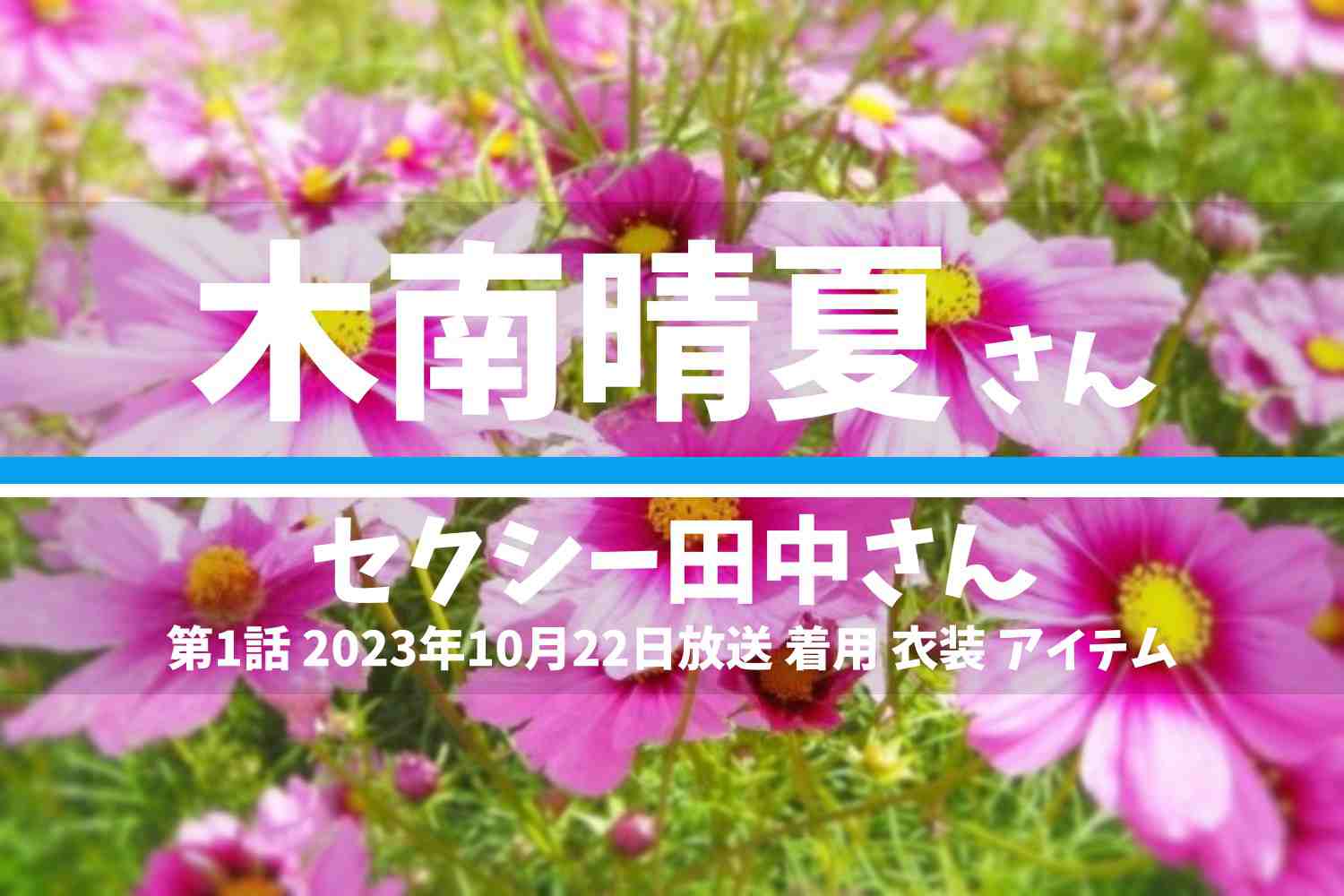 セクシー田中さん 木南晴夏さん テレビドラマ 衣装 2023年10月22日放送