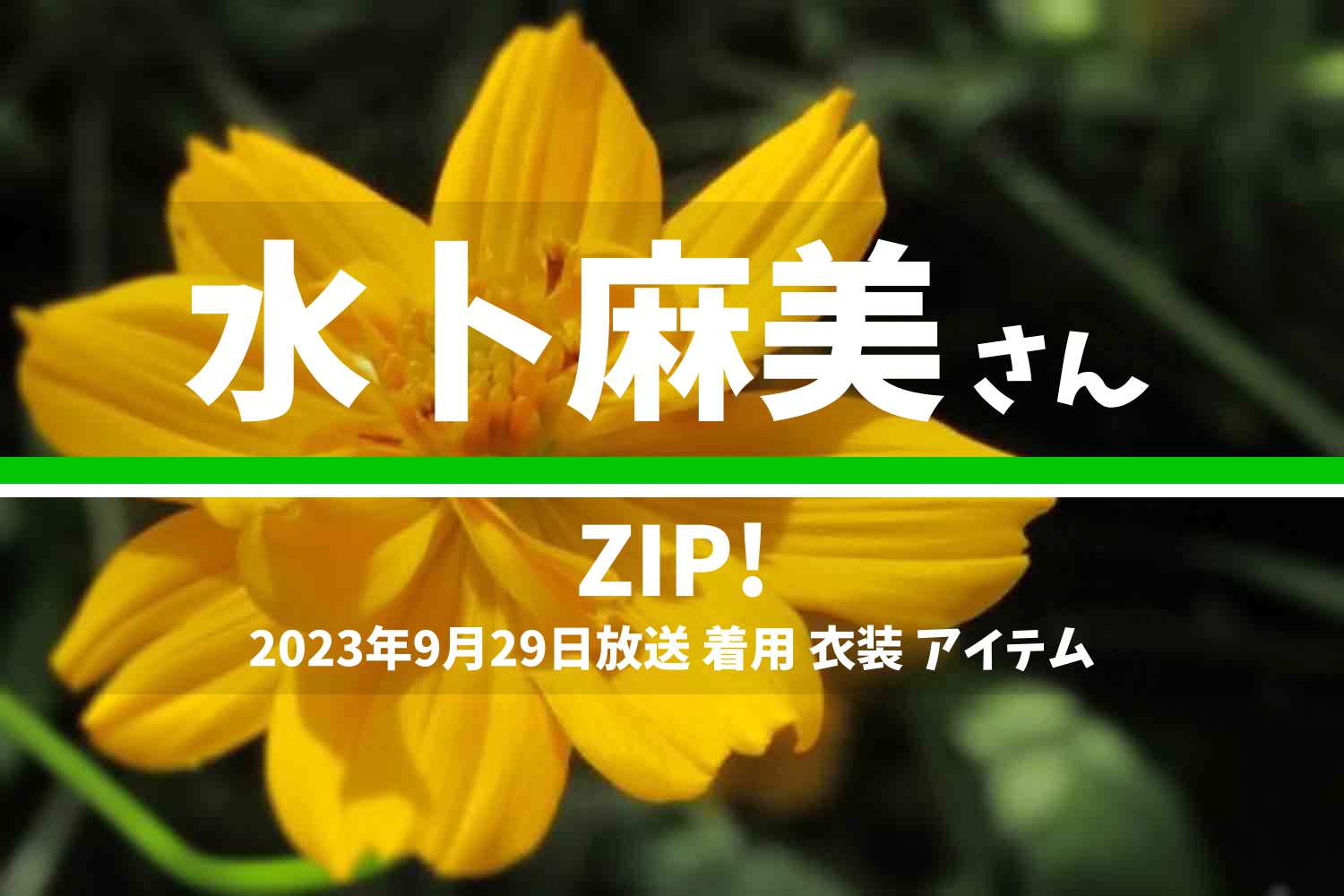 ZIP! 水卜麻美さん 番組 衣装 2023年9月29日放送