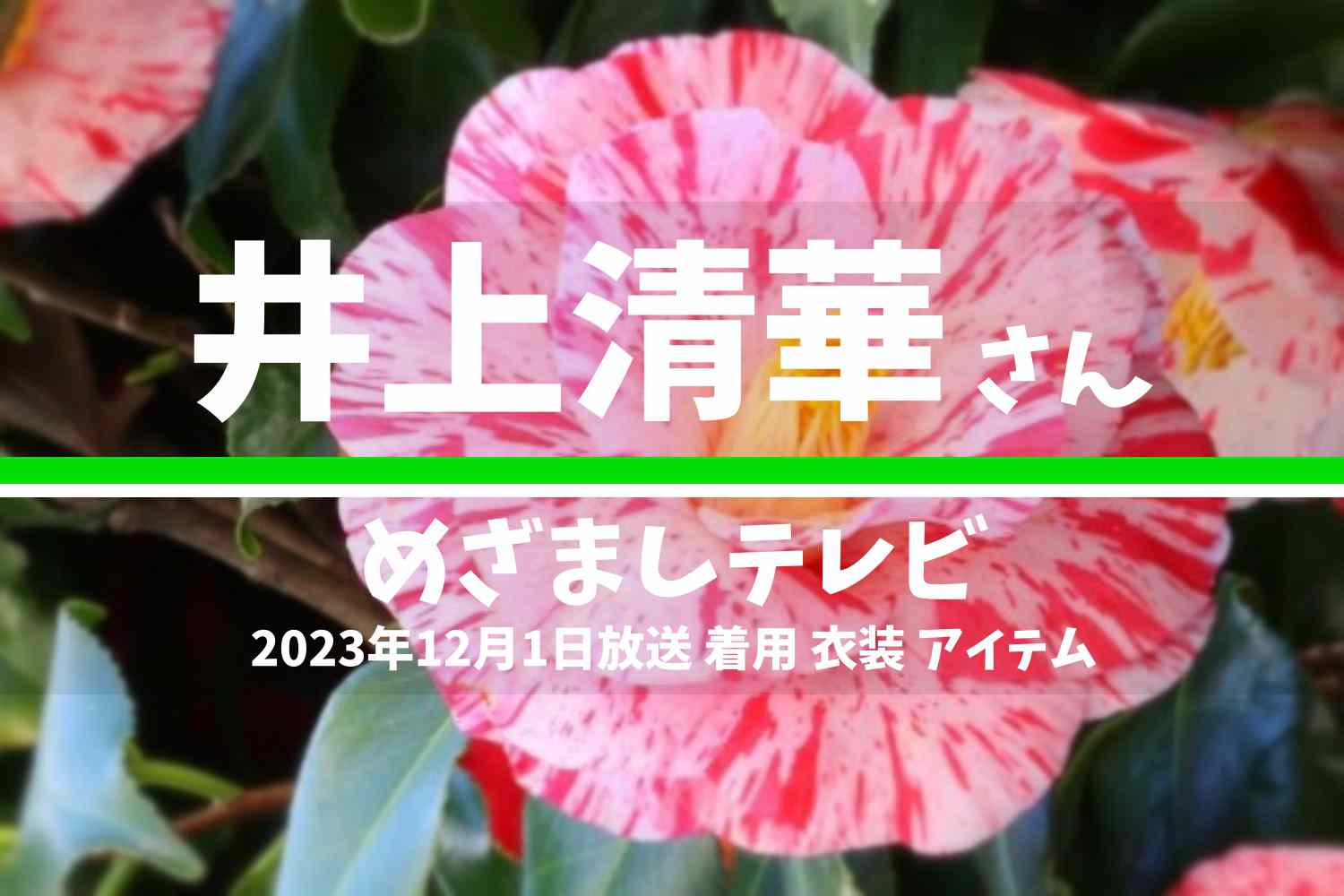 めざましテレビ 井上清華さん 番組 衣装 2023年12月1日放送