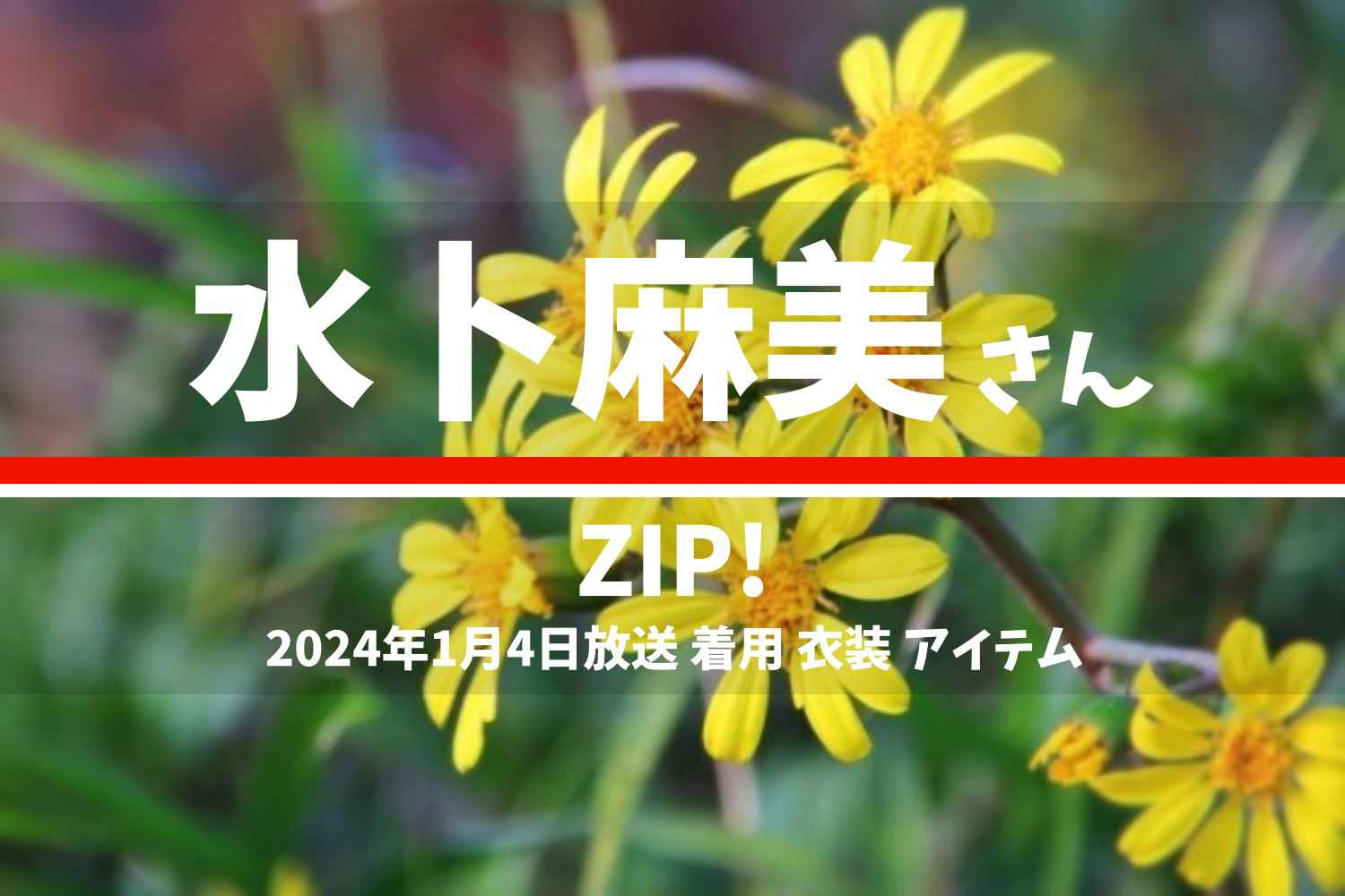 ZIP! 水卜麻美さん 番組 衣装 2024年1月4日放送