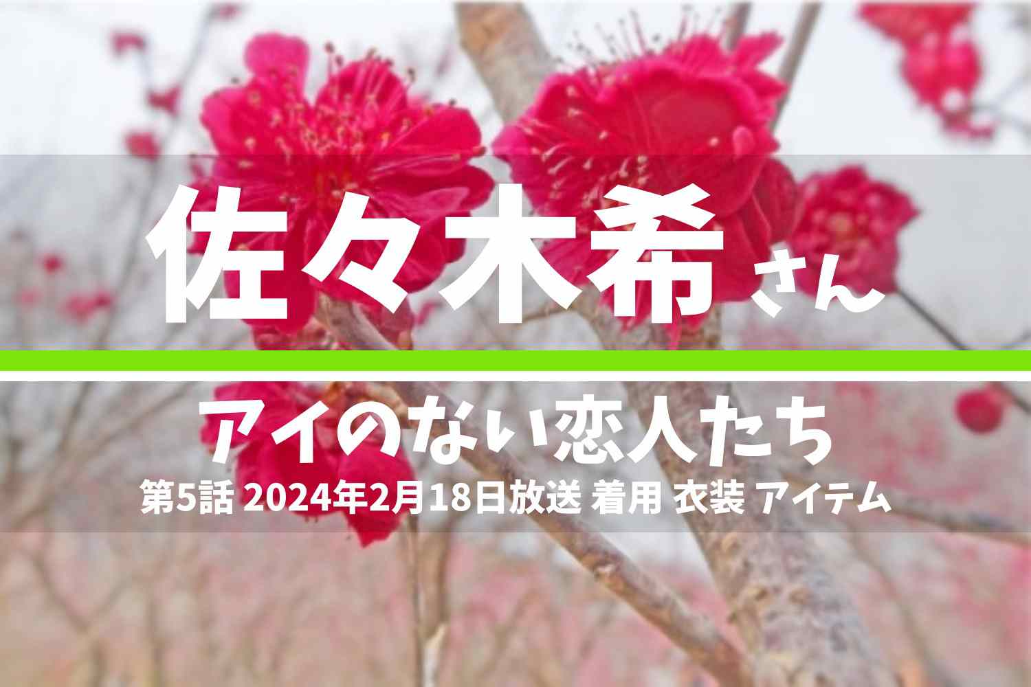 アイのない恋人たち 佐々木希さん テレビドラマ 衣装 2024年2月18日放送