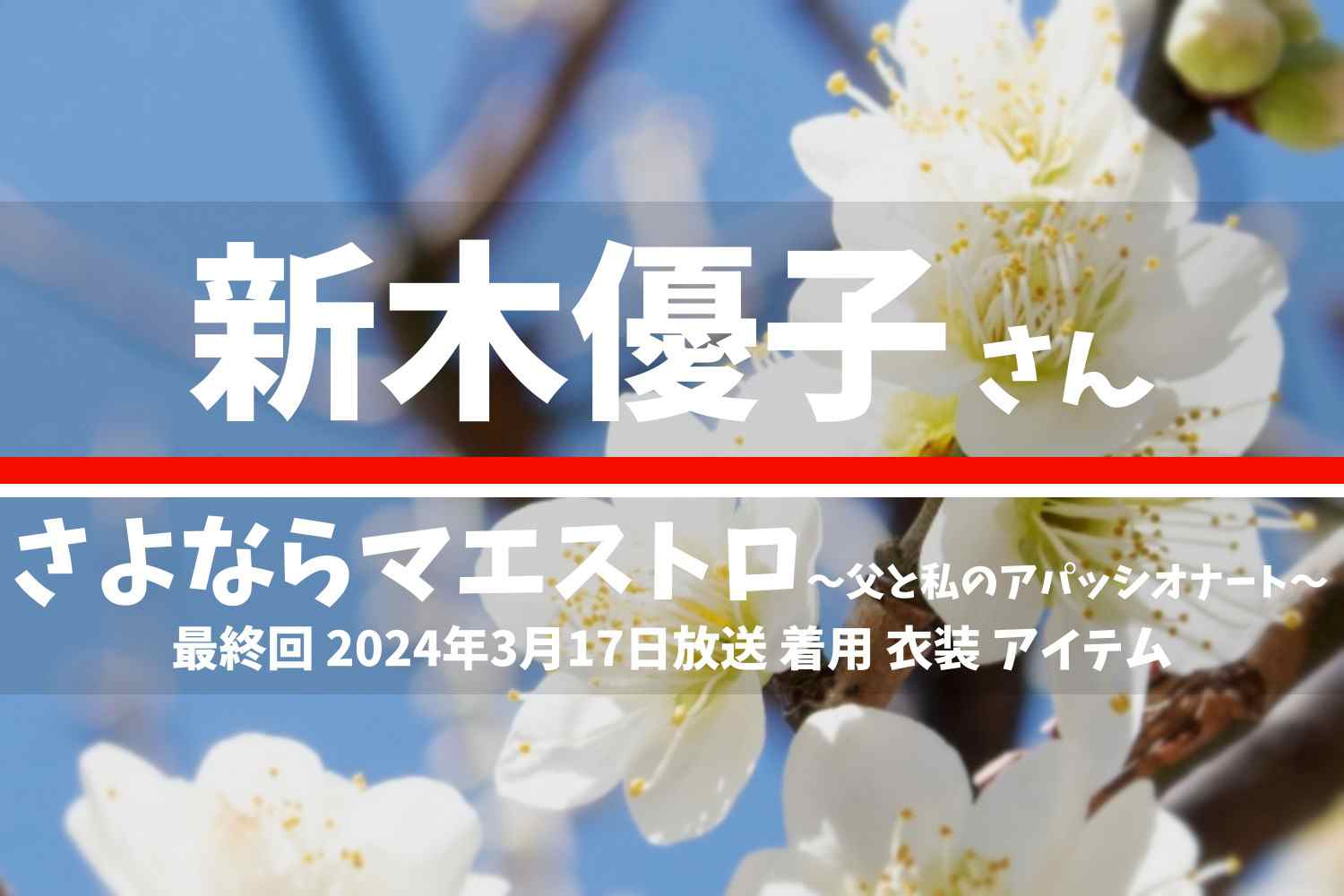 さよならマエストロ 新木優子さん テレビドラマ 衣装 2024年3月17日放送