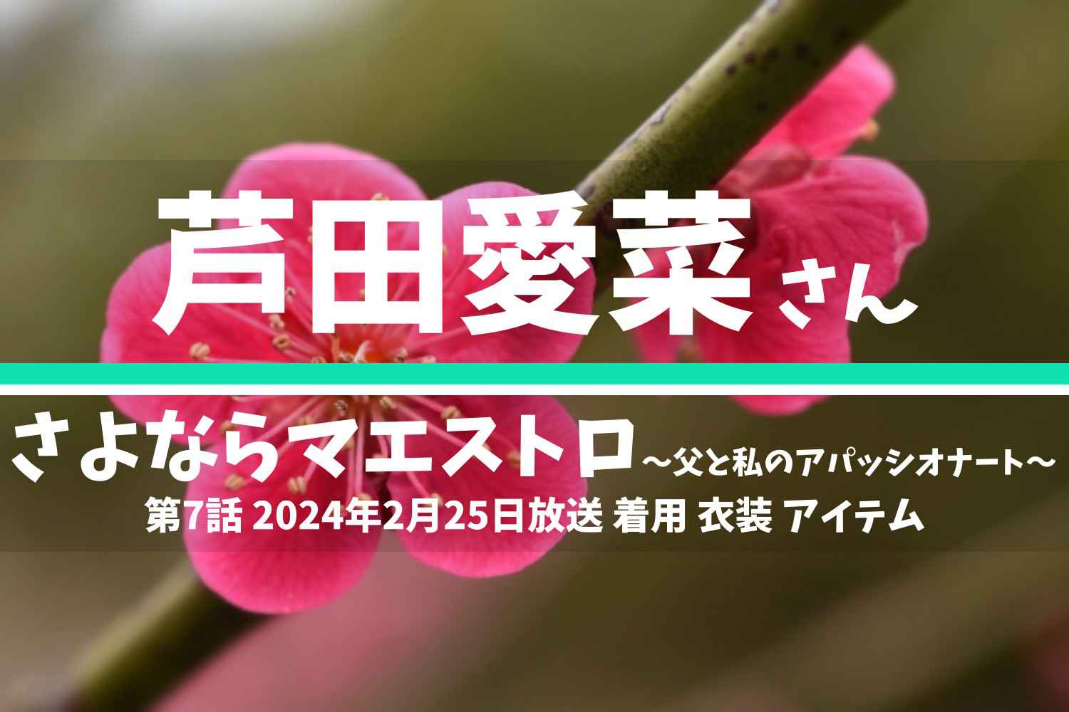 さよならマエストロ 芦田愛菜さん テレビドラマ 衣装 2024年2月25日放送