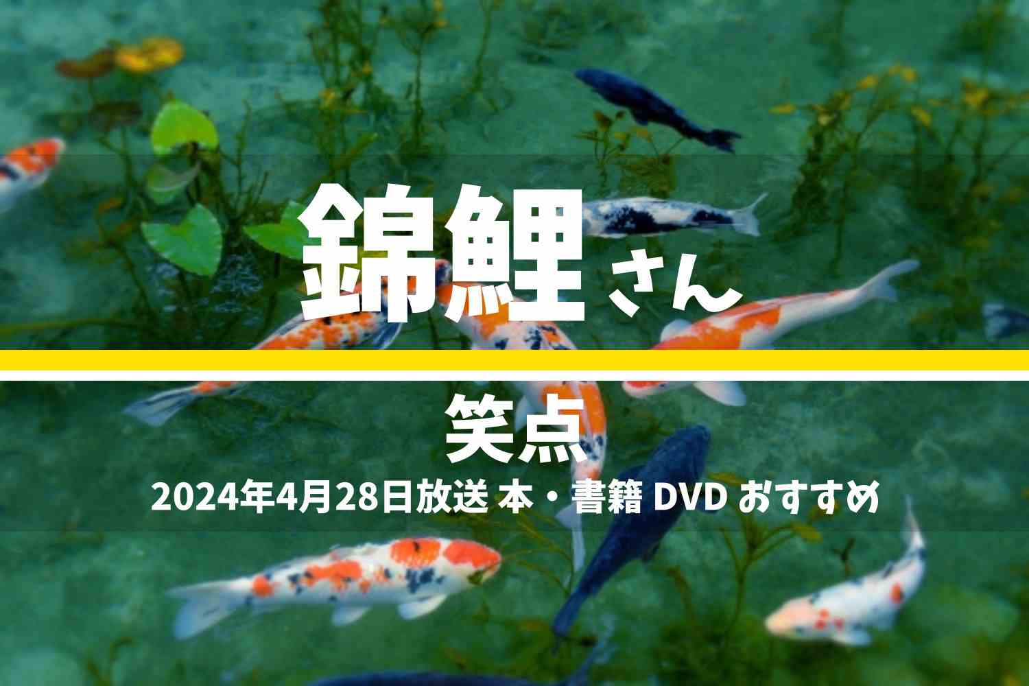 笑点 サンドウィッチマン テレビ番組 本 DVD 2024年4月28日放送
