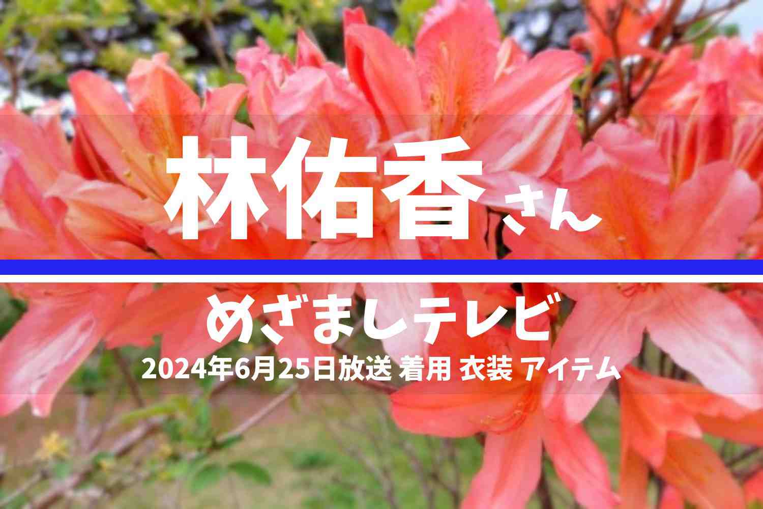 めざましテレビ 林佑香さん 番組 衣装 2024年6月25日放送