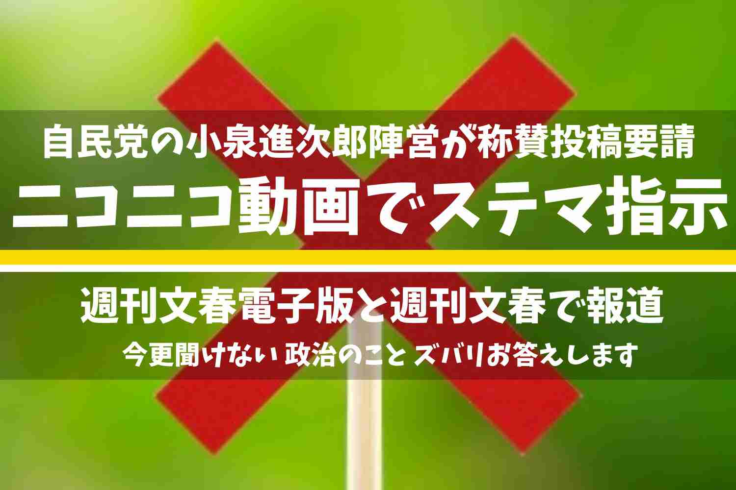 小泉進次郎陣営ニコニコ動画でステマ指示