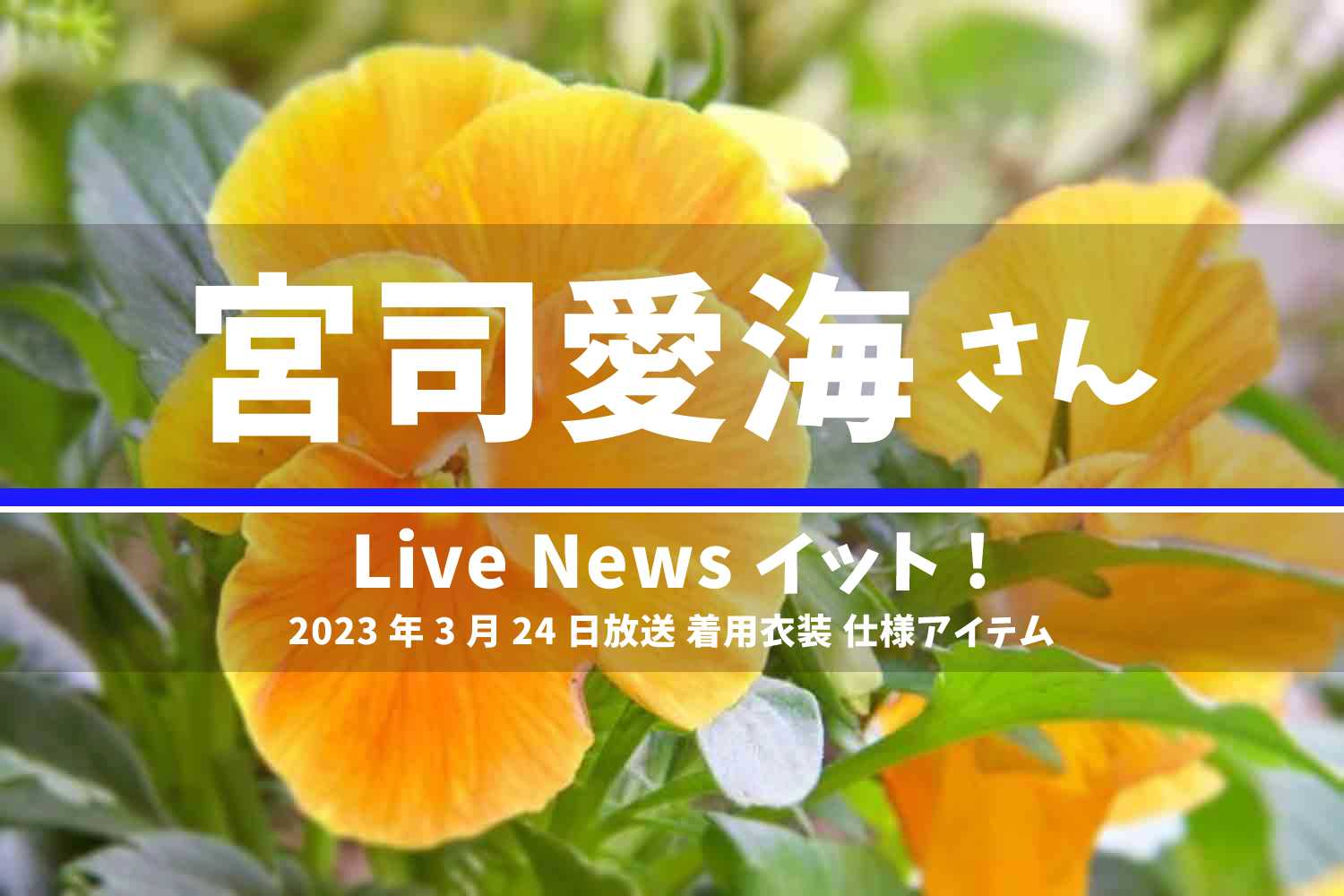 Live News イット! 宮司愛海さん 番組 衣装 2023年3月24日放送